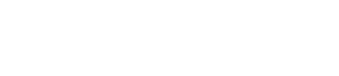 Logo Veesion