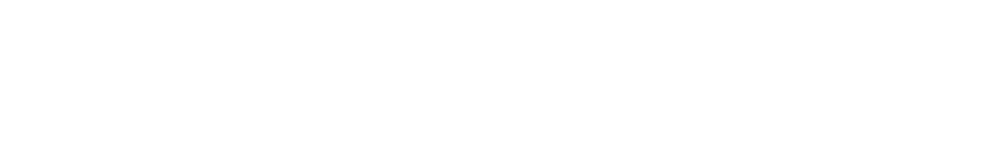 Logo Le Collectionist