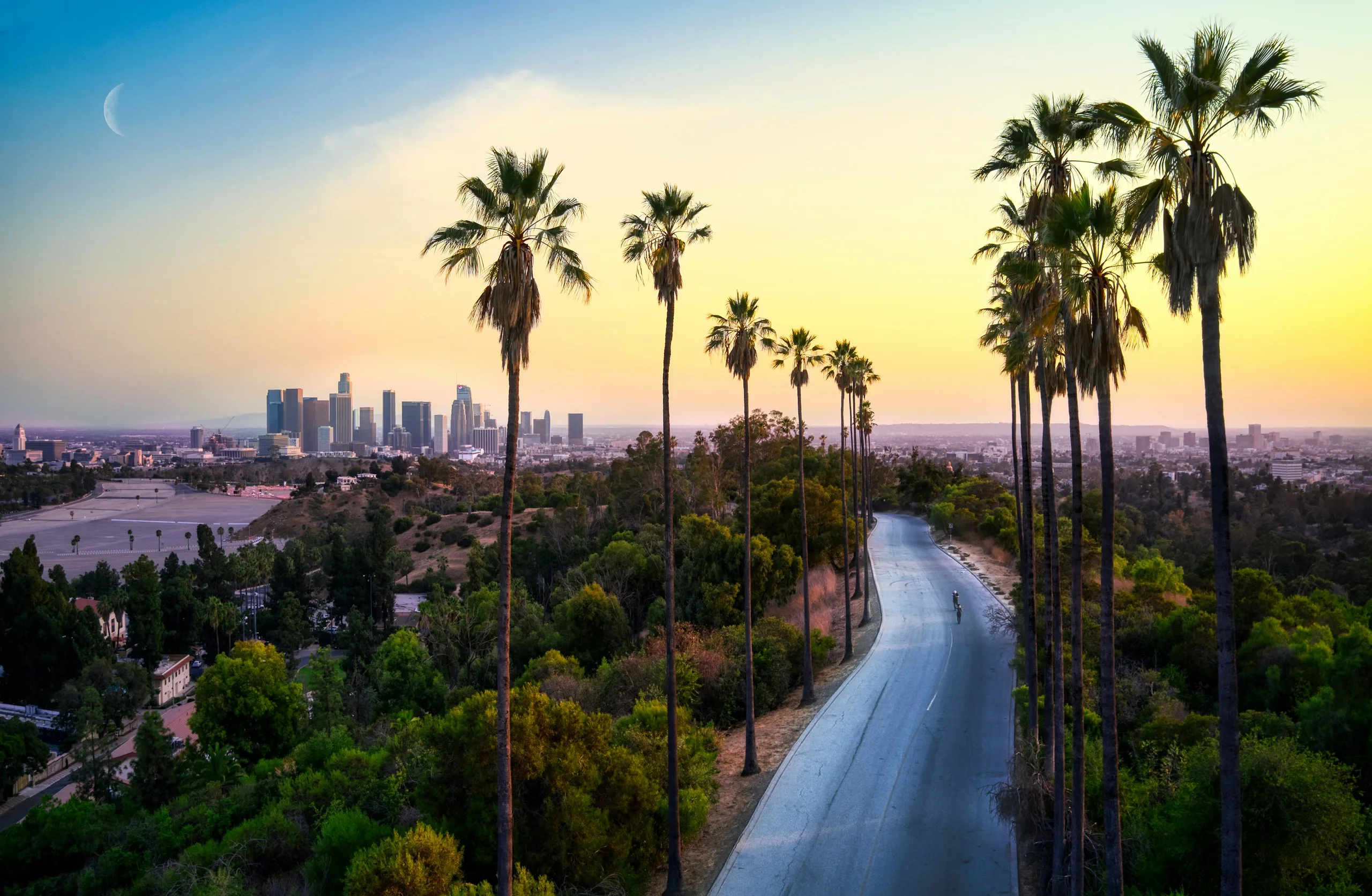Palm-lined road winding toward the Downtown Los Angeles skyline at dusk